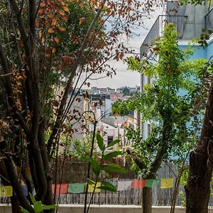  Pensión Lost :: Avenida House
